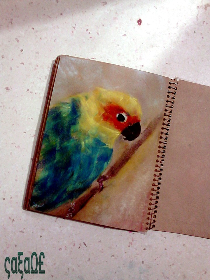 bird&me