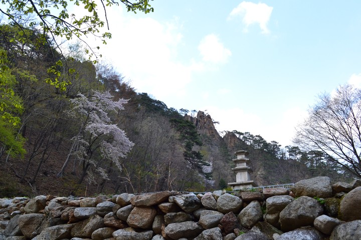 풍경이미지