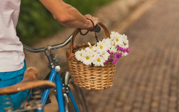 a basket of flowers for you