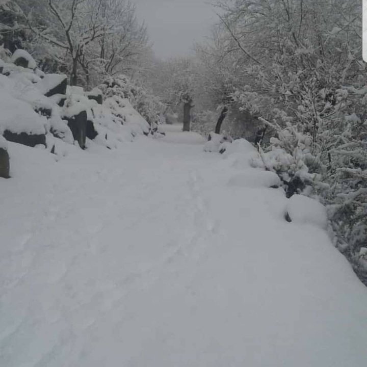 My Village in Winters