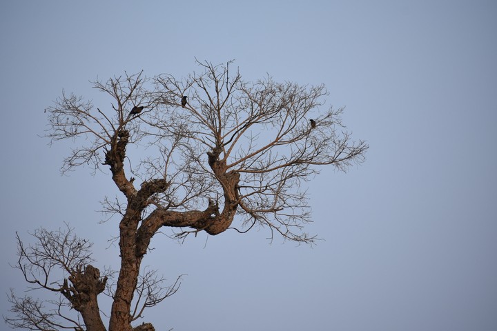 nature_photography