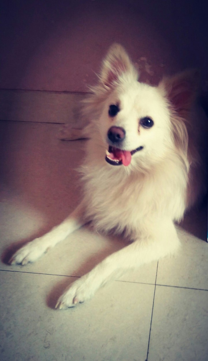 Cuteeeeeeee