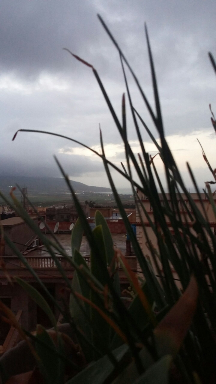 la tempête