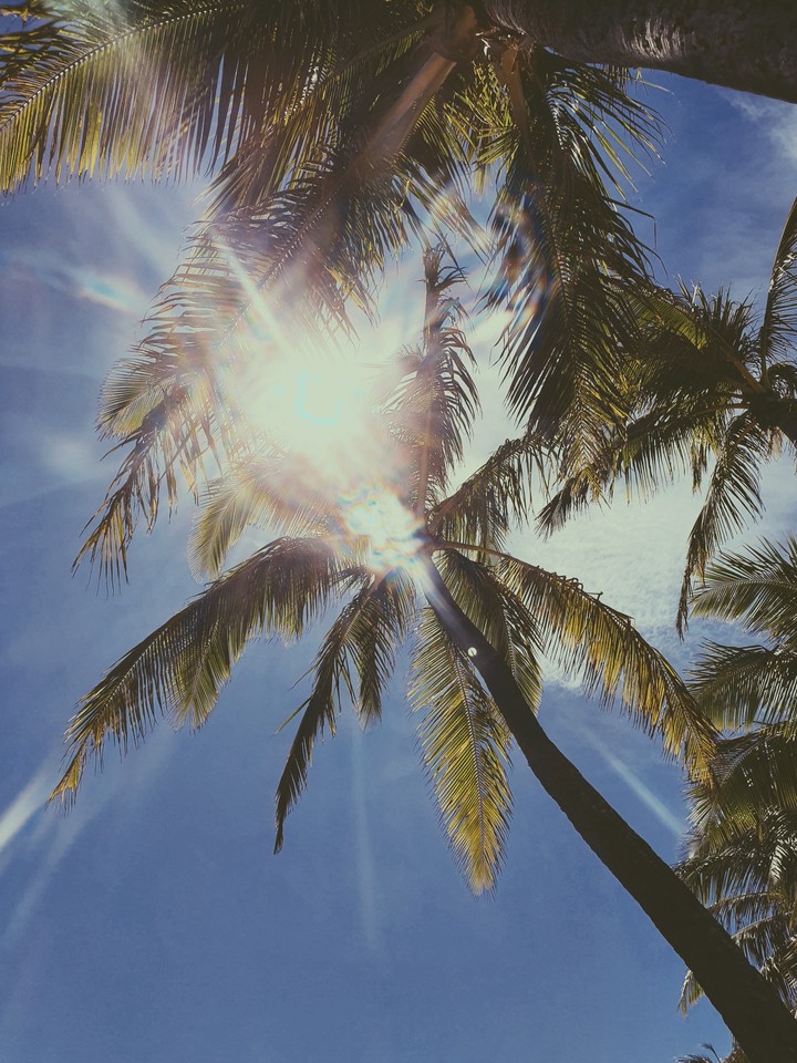 Bright Sunshine
