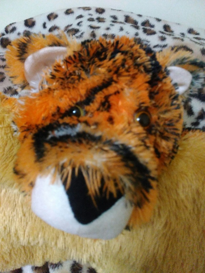 tiger