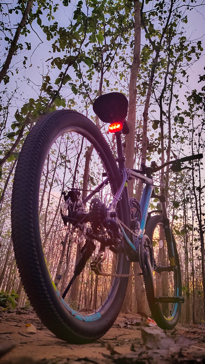 MOUNTAIN BIKE