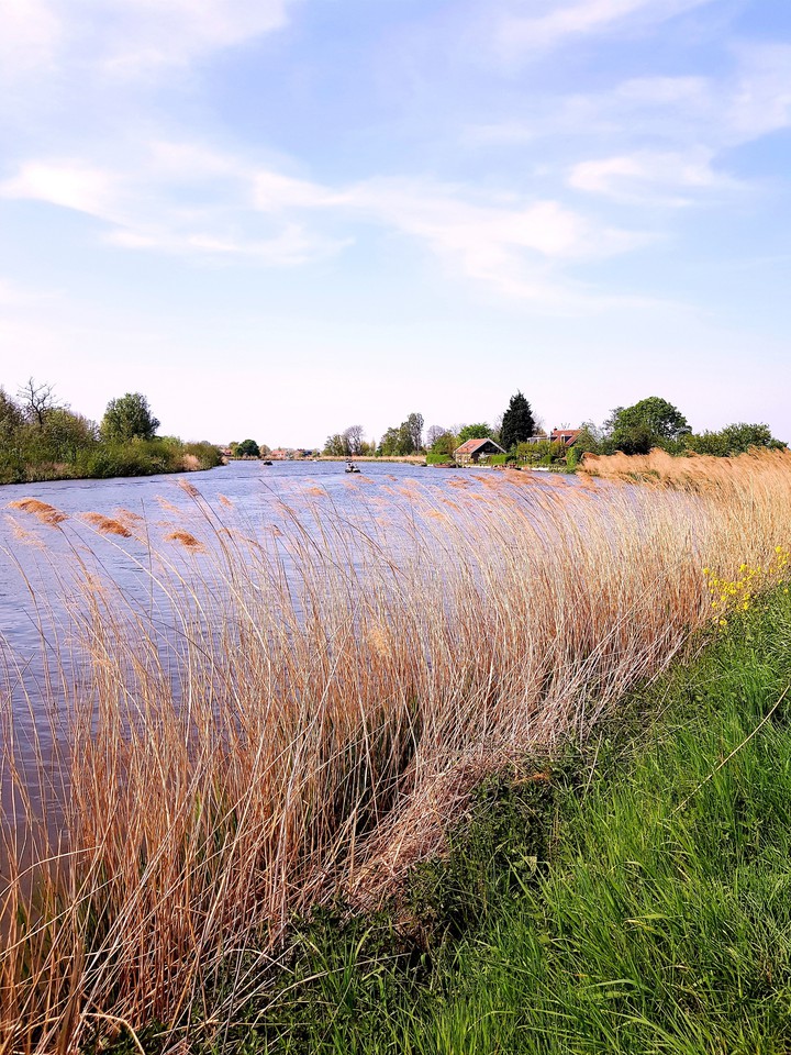 Dutch nature