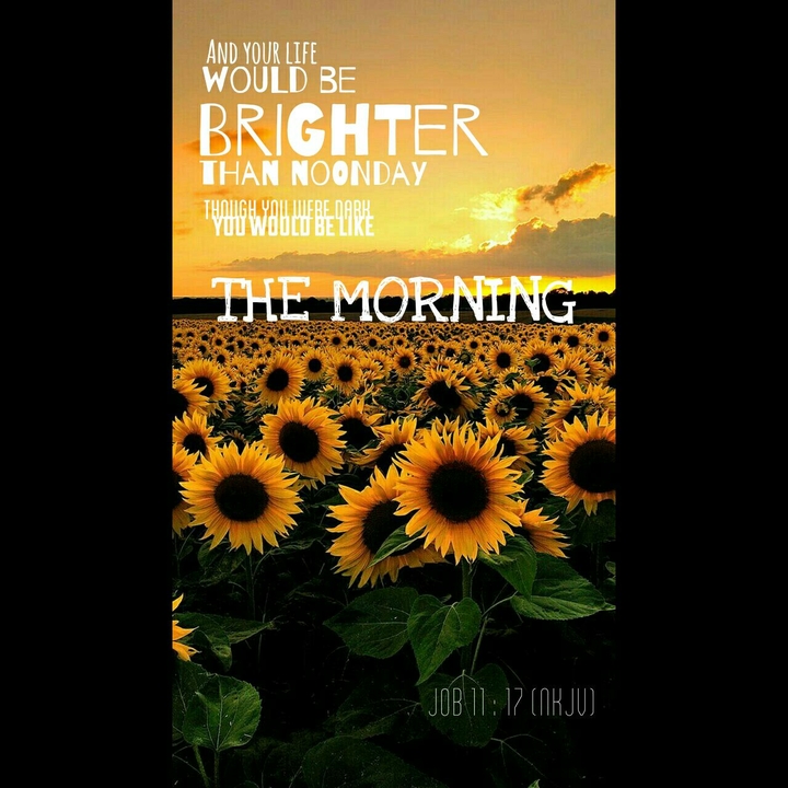 Good morning