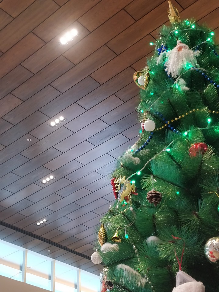 Christmas Tree