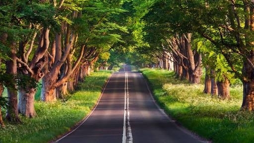 beautifull wallpapers