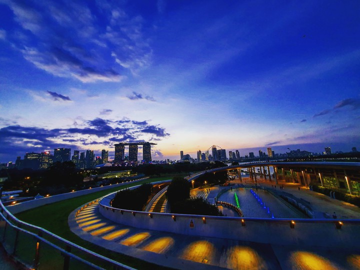 The Urban Landscape