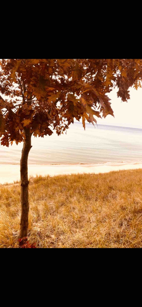 fall, lake Hintergrundbilder