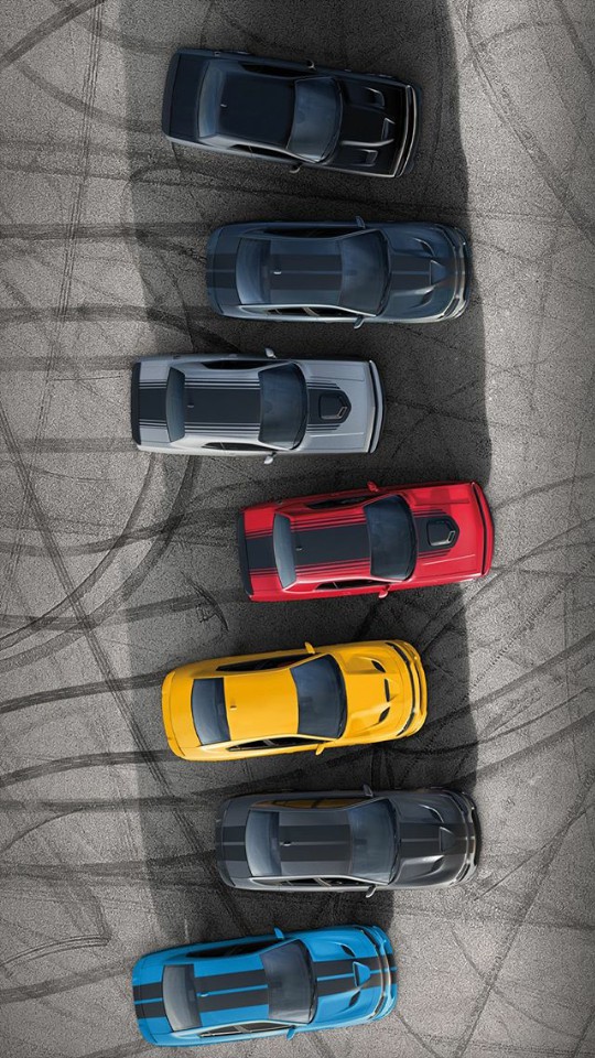 Dodge