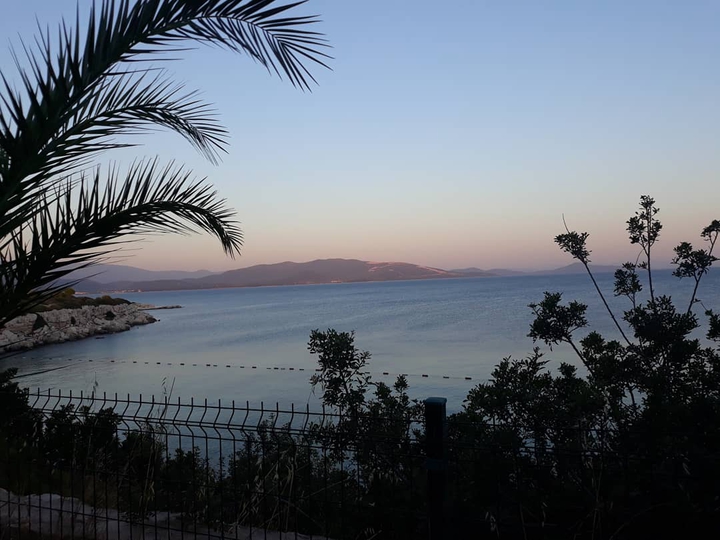 sea, montain,trees