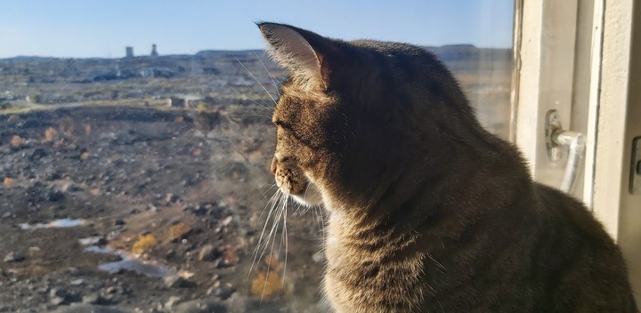 Осень