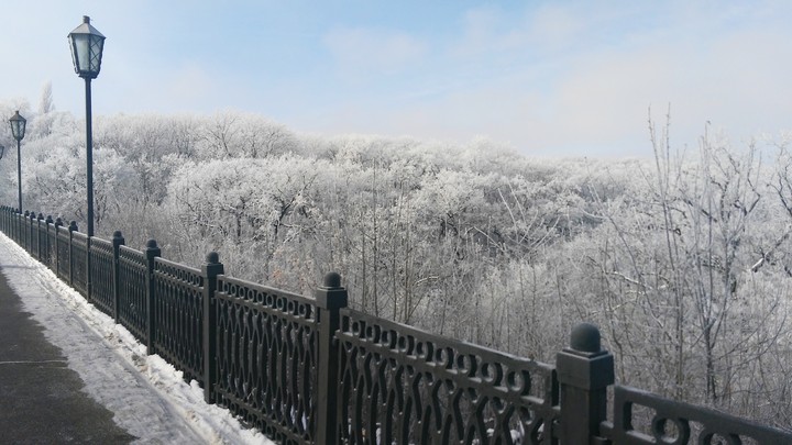 Winter morning