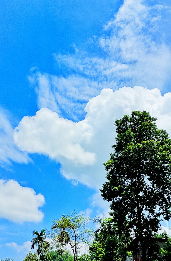 sky..