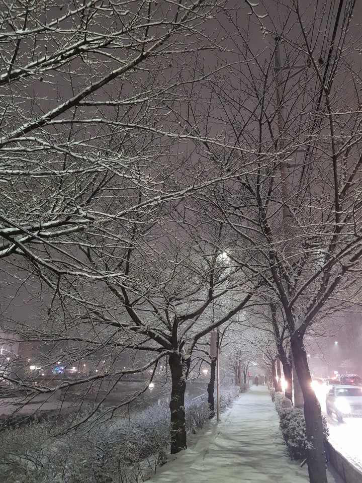 Snowing in the city