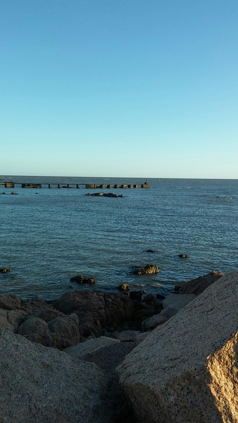 Muelle