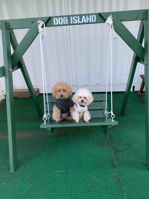 Lucky & Money