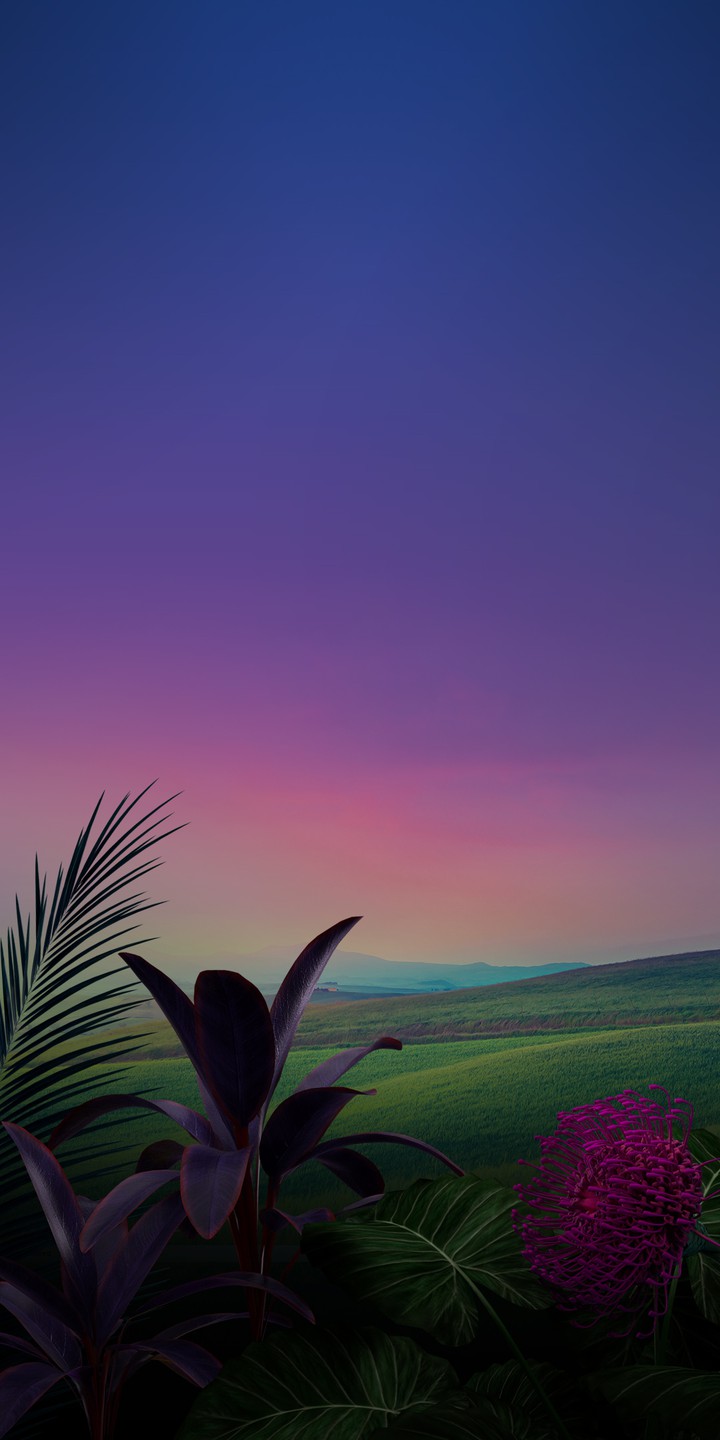 LG stylo 5
