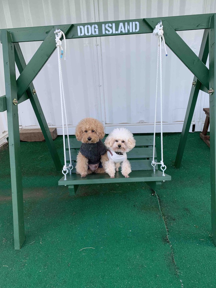 Lucky & Money