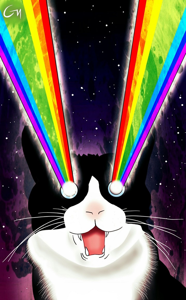 Rainbow Cat