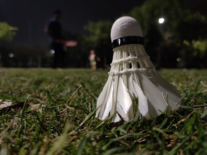 Badminton shuttlecock DS