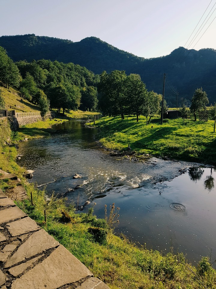 river beteten a meadow