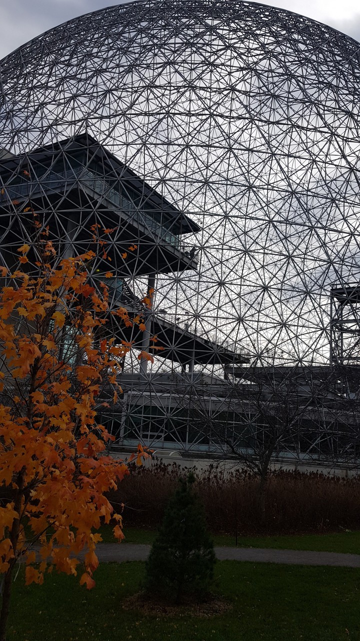 Biosphere