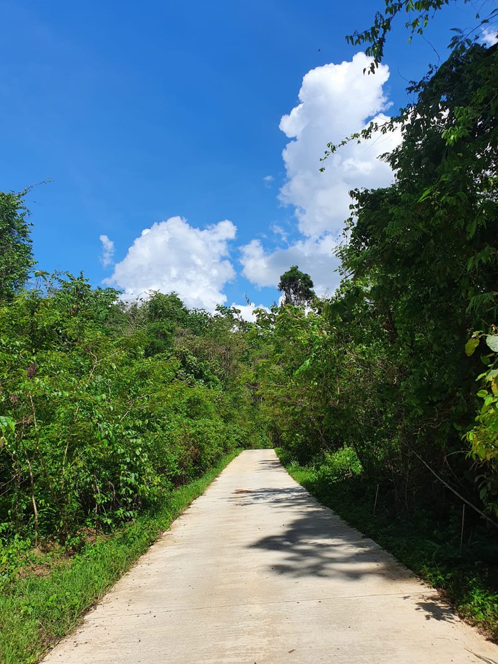road to no where
