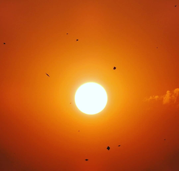 kites in the sky