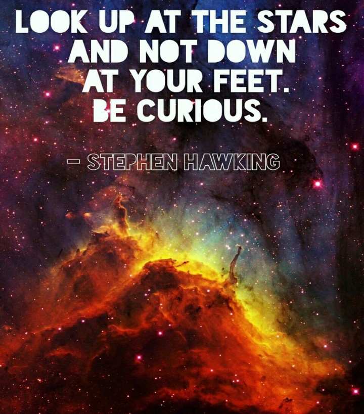 Stephen Hawking quote