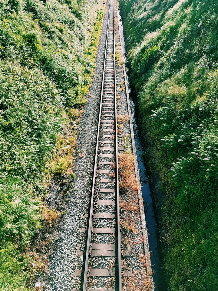 Camino
