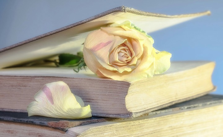 Love with book