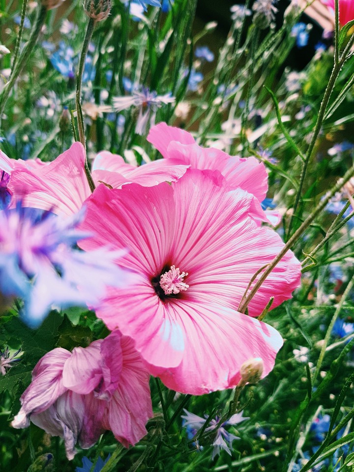 flower power together