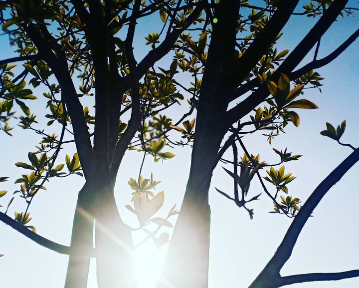 love Sun