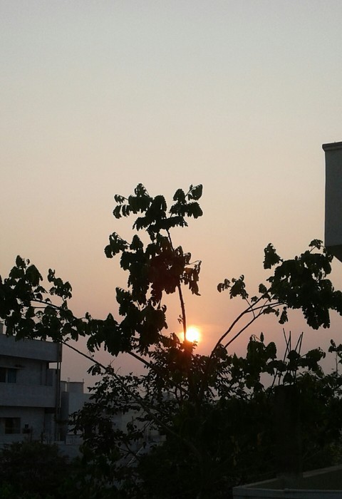 sunrise