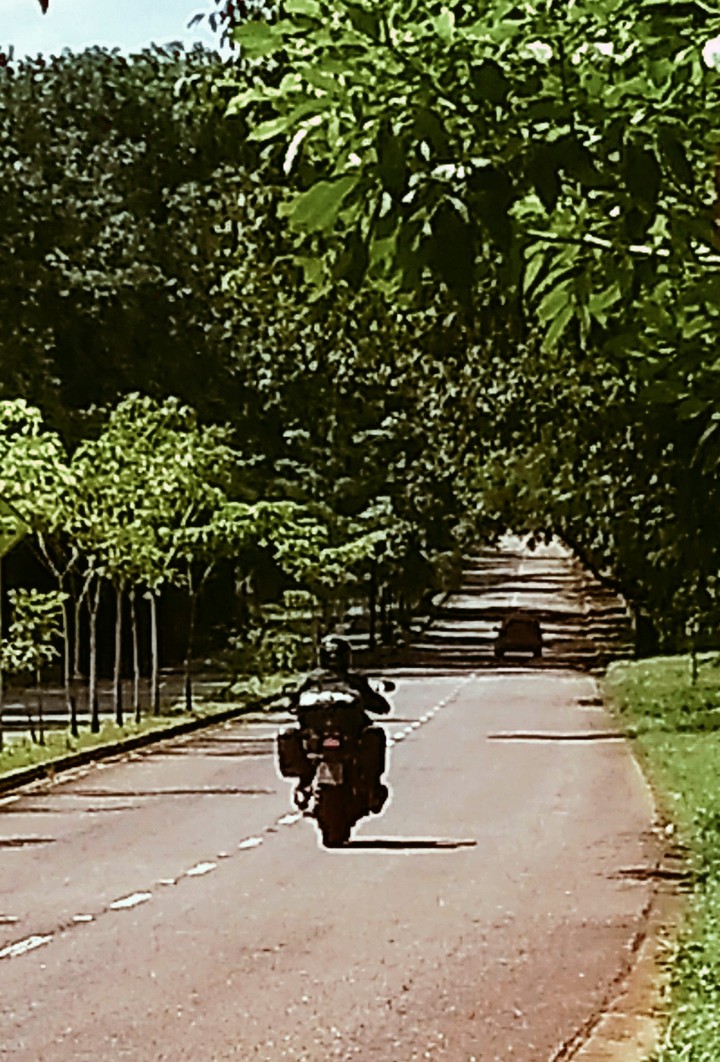 estrada Motocicleta ✍