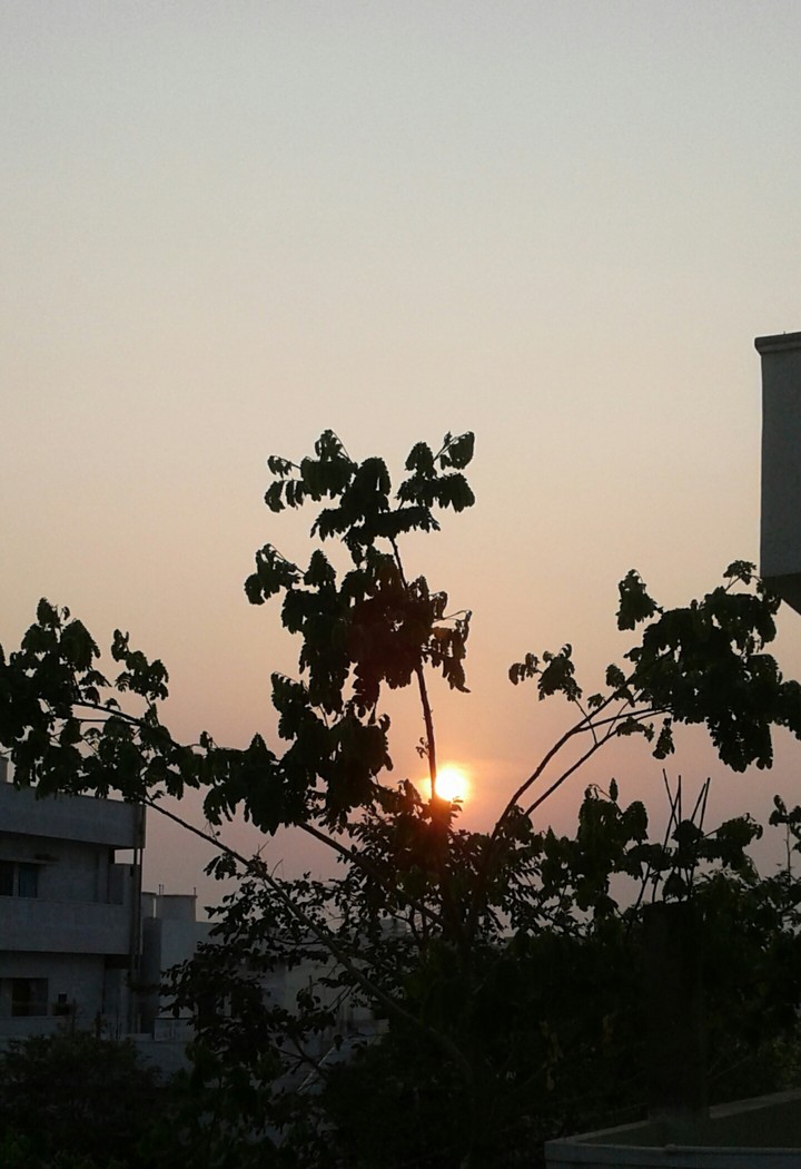 sunrise