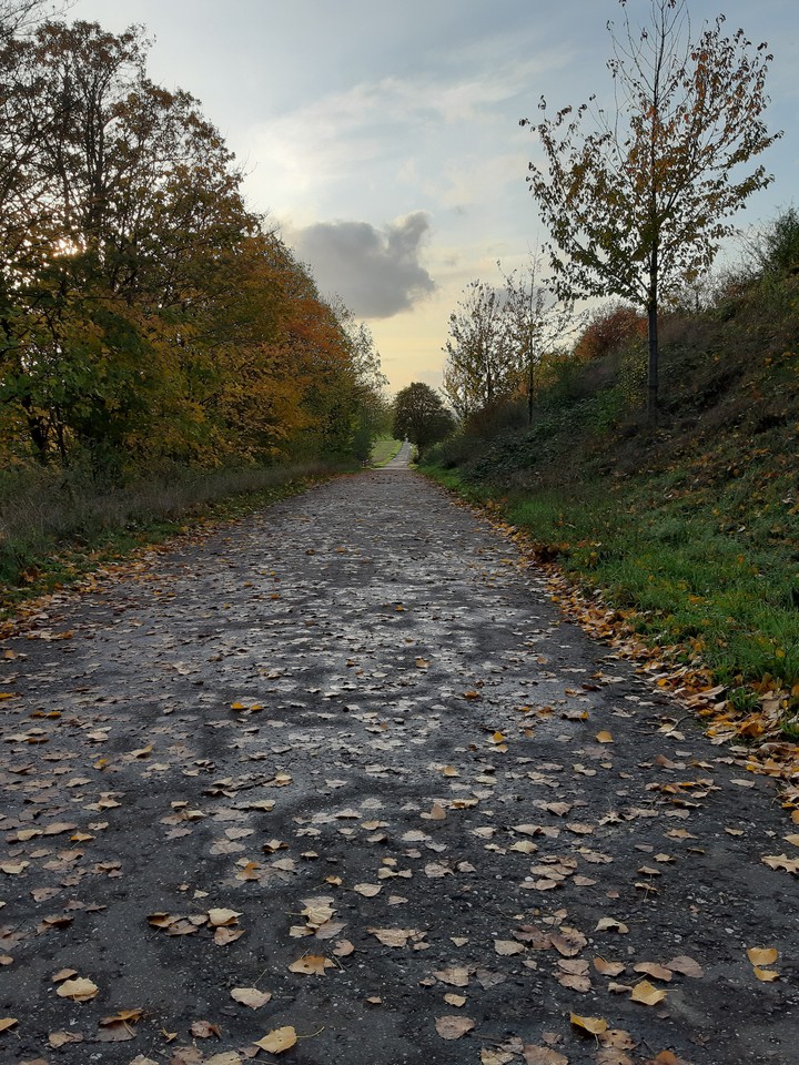 Herbst