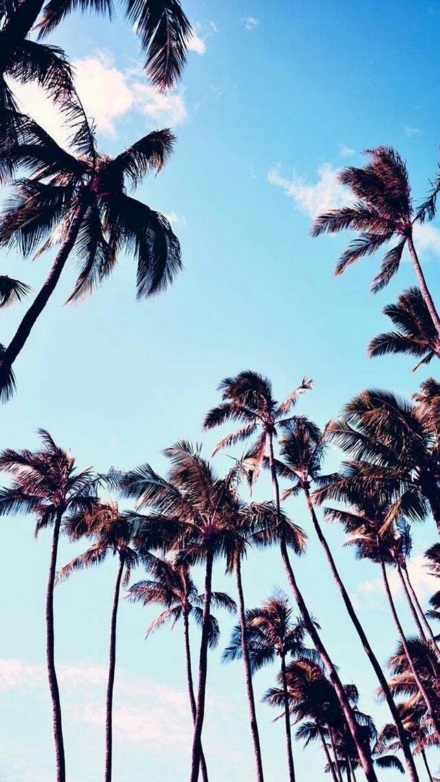 ..