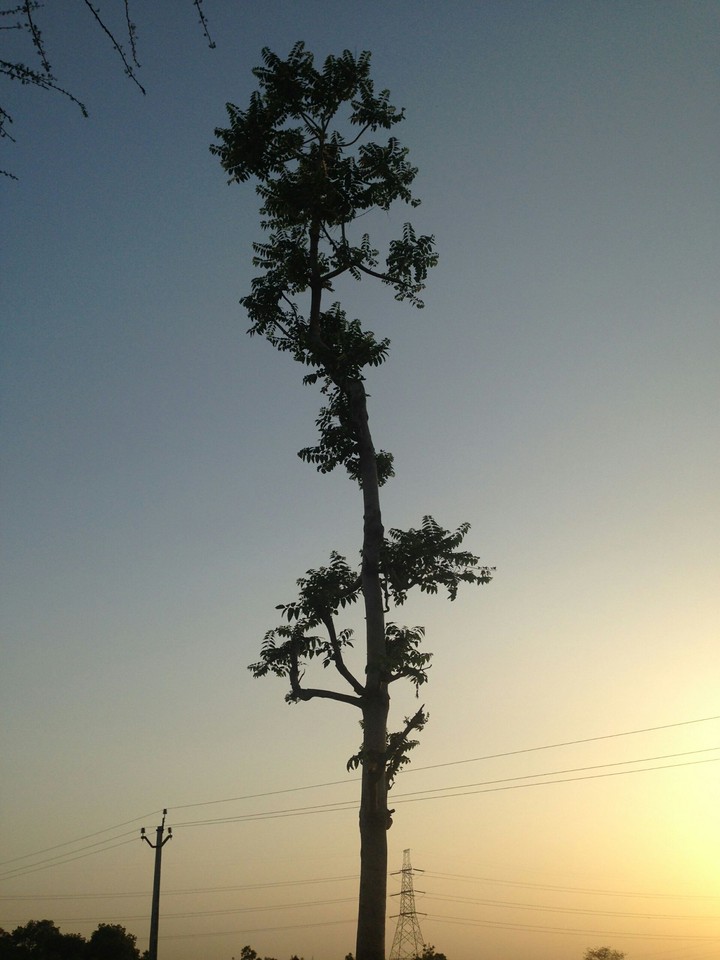 beauty of nature