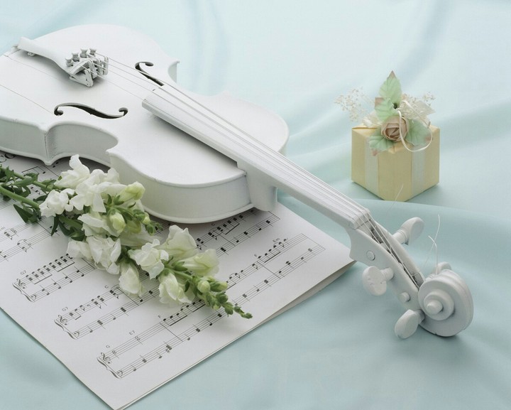 Violino