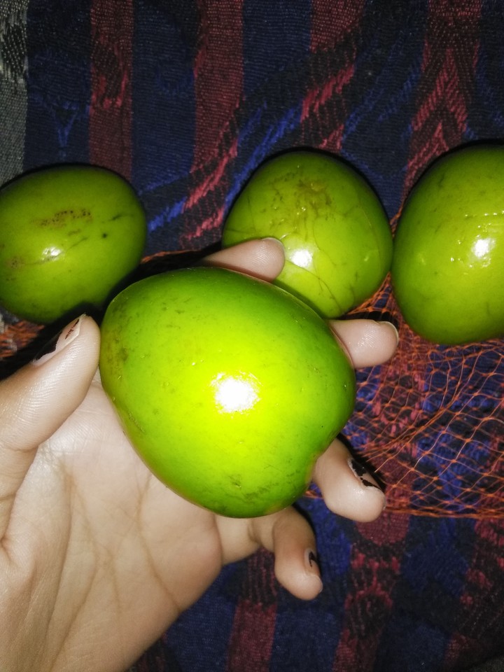 autumn season first fruit