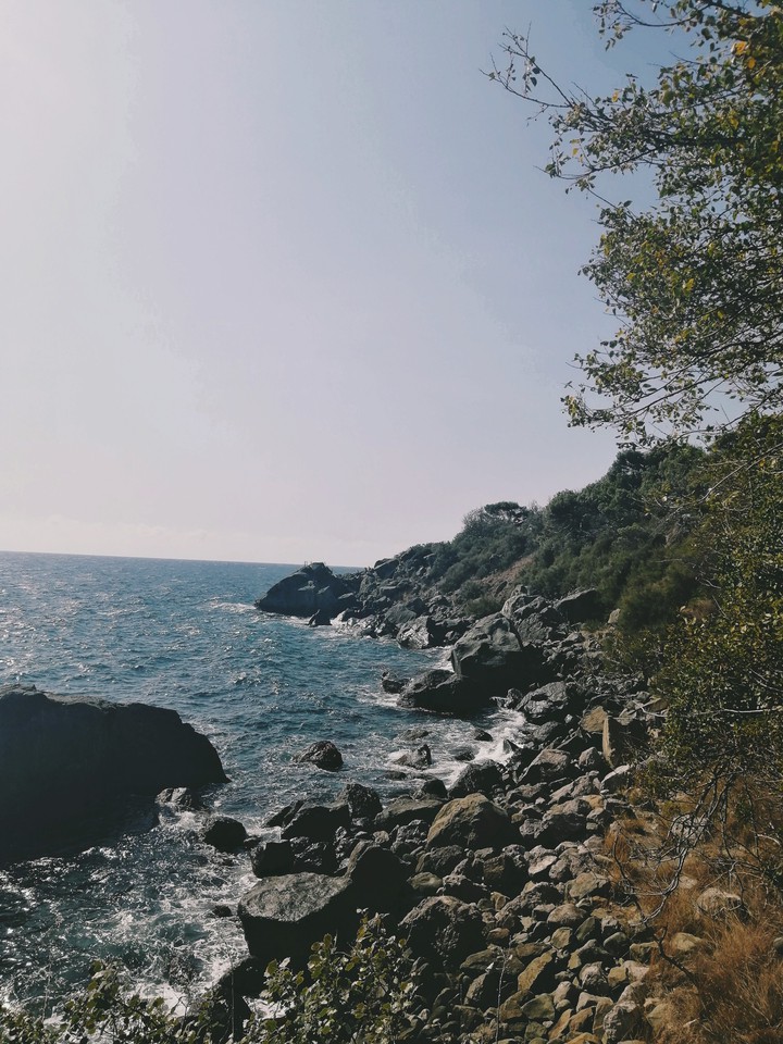 море