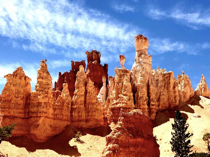 Bryce 3