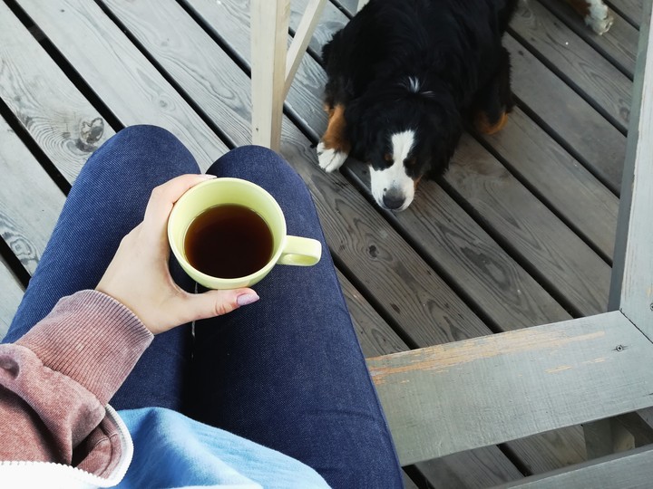 morning