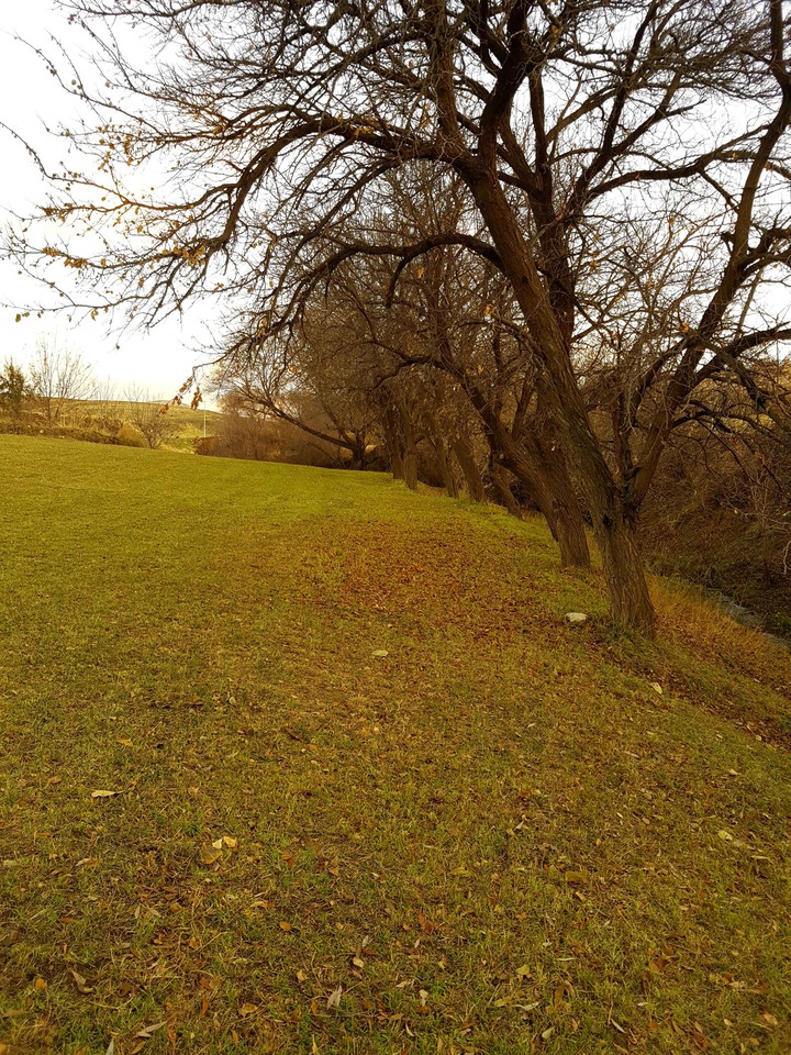 autumn
