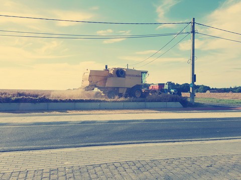 Farm